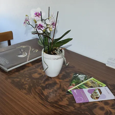 Apartment Apartma Narava
